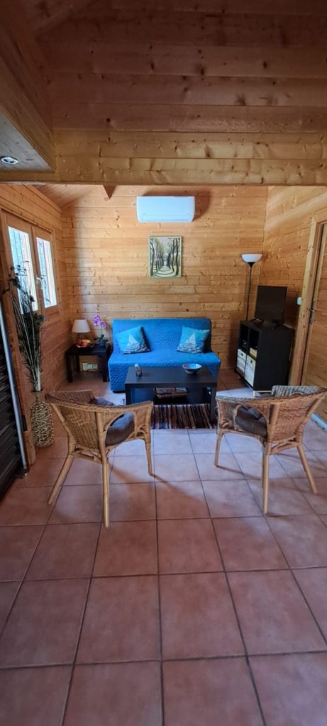 chalet-woonkamer-portrait - Villa Soroni